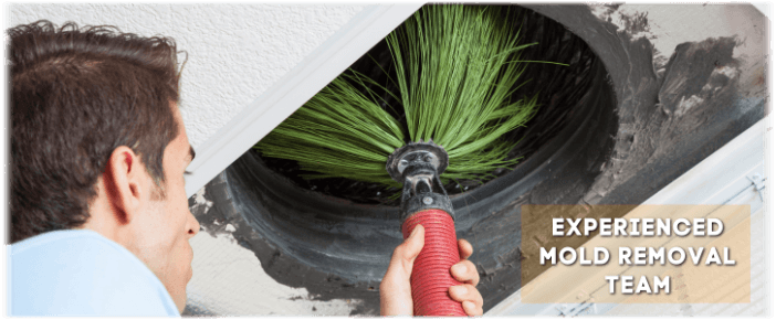 Air Duct Mold Removal in DC